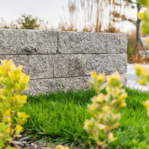 Bloc de zid 50x15x25 cm